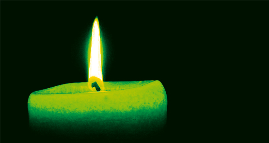 In Memoriam Frans Nieuwenhuis, Cees van Rooijen en Leo van Brussel